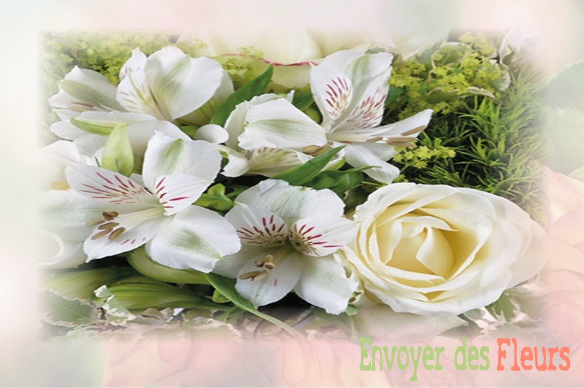 envoyer des fleurs à à CHATEAUNEUF-DE-VERNOUX